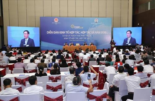 Diễn đàn Kinh tế hợp tác, hợp tác xã năm 2019. Ảnh: Lê Danh Lam - TTXVN Diễn đàn Kinh tế hợp tác, hợp tác xã năm 2019. Ảnh: Lê Danh Lam - TTXVN