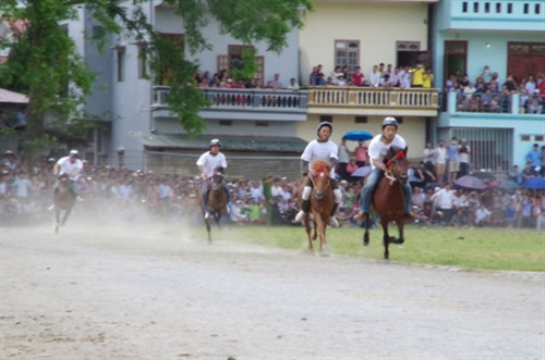 Đua ngựa thồ trên cao nguyên trắng ảnh 5