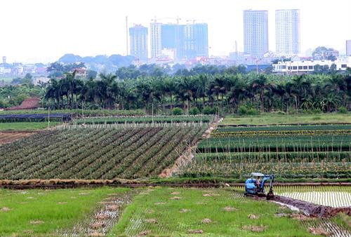 Ngành nông nghiệp Hà Nội tổ chức Hội nghị tổng kết công tác năm 2017, triển khai nhiệm vụ năm 2018 ảnh 4