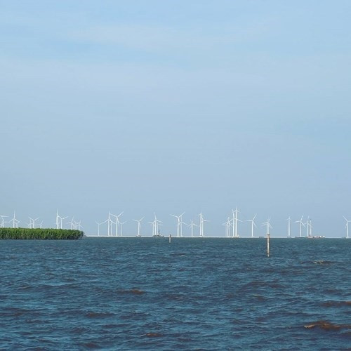 Đến Bạc Liêu ngắm “cánh đồng quạt gió” đẹp như trời Tây ảnh 1