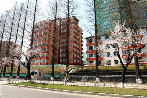 Thủ đô Bình Nhưỡng ngày nay mang một dáng vẻ hiện đại. Ảnh: Phương Hoa – TTXVN Những ngôi nhà cao tầng được sơn nhiều màu sắc mang dáng vẻ hiện đại cho Thủ đô Bình Nhưỡng. Ảnh: Phương Hoa- TTXVN Toàn cảnh thành phố Bình Nhưỡng nhìn từ trên cao. Ảnh: Phương Hoa – TTXVN Tiết mục hòa nhạc của Dàn nhạc Công Huân quốc gia Triều Tiên. Ảnh: Phương Hoa – TTXVN Đúng dịp sinh nhật của Chủ tịch Kim Nhật Thành, Triển lãm hoa được tổ chức tại Thủ đô Bình Nhưỡng. Ảnh: Phương Hoa – TTXVN Một gia đình Triều Tiên tham quan Triển lãm hoa Kim Nhật Thành. Ảnh: Phương Hoa – TTXVN Phụ nữ Triều Tiên mặc trang phục truyền thống vào xem Triển lãm hoa Kim Nhật Thành. Ảnh: Phương Hoa – TTXVN Người dân Triều Tiên xếp hàng vào xem Triển lãm hoa Kim Nhật Thành. Ảnh: Phương Hoa – TTXVN Một ngôi nhà truyền thống bên cạnh những công trình hiện đại. Ảnh: Phương Hoa – TTXVN Người dân và thiếu niên Triều Tiên đến vui chơi ở công viên. Ảnh: Phương Hoa – TTXVN Ngày cuối tuần, người dân Triều Tiên đến vui chơi ở các công viên nổi tiếng. Ảnh: Phương Hoa – TTXVN Một gian hàng dược phẩm ở Bình Nhưỡng. Ảnh: Phương Hoa – TTXVN Học sinh học môn thể thao yêu thích ở trường học. Ảnh: Phương Hoa – TTXVN Lớp học âm nhạc của học sinh Triều Tiên. Ảnh: Phương Hoa – TTXVN Lớp dạy lập trình tại Cung Học sinh Thiếu niên Vạn Cảnh Đài. Ảnh: Phương Hoa – TTXVN Triều Tiên rất chú trọng đến việc phát triển toàn diện con người, học sinh được tham gia các lớp học nghệ thuật. Ảnh: Phương Hoa- TTXVN Học sinh Triều Tiên học viết thư pháp. Ảnh: Phương Hoa – TTXVN Một cặp vợ chồng sắp cưới chụp ảnh trước Bảo tàng Chiến thắng Chiến tranh Giải phóng Tổ quốc. Ảnh: Phương Hoa – TTXVN Người dân xếp hàng trật tự lên phương tiện giao thông công cộng. Ảnh: Phương Hoa- TTXVN Cung Thái Dương Kumsusan-nơi an nghỉ của Chủ tịch Kim Nhật Thành và Kim Jong - Il. Ảnh: Phương Hoa – TTXVN Nhà ga trung tâm ở Thủ đô Bình Nhưỡng. Ảnh: Phương Hoa – TTXVN Tòa nhà Quốc hội ở Thủ đô Bình Nhưỡng. Ảnh: Phương Hoa – TTXVN Ngoài phương tiện giao thông công cộng, người dân Bình Nhưỡng thường xuyên sử dụng xe đạp. Ảnh: Phương Hoa – TTXVN Hoa nở trên đường phố cùng với những ngôi nhà cao tầng mang nhiều màu sắc rực rỡ. Ảnh: Phương Hoa – TTXVN Tượng "Vạn Lý Mã" - bức tượng nổi tiếng ở Bình Nhưỡng. Ảnh: Phương Hoa – TTXVN Những dãy phố với công trình kiến trúc hiện đại được xây dựng ở Bình Nhưỡng. Ảnh: Phương Hoa – TTXVN Nhiều chung cư cao tầng được xây dựng phục vụ chỗ ở cho người dân ở Thủ đô Bình Nhưỡng. Ảnh: Phương Hoa – TTXVN Khải Hoàn Môn - một công trình nổi tiếng ở Bình Nhưỡng. Ảnh: Phương Hoa – TTXVN Tháp Chủ thể cao 170 m là Tượng đài về học thuyết tự lực tự cường ở Triều Tiên. Ảnh: Phương Hoa – TTXVN Một công trình kiến trúc truyền thống của Triều Tiên tại Thủ đô Bình Nhưỡng. Ảnh: Phương Hoa – TTXVN Quảng trường Kim Nhật Thành, nơi tổ chức các sự kiện lớn của Triều Tiên. Ảnh: Phương Hoa – TTXVN Pin năng lượng mặt trời được sử dụng ở nhiều nơi tại Thủ đô Bình Nhưỡng. Ảnh: Phương Hoa – TTXVN Ô tô điện là phương tiện giao thông công cộng phổ biển ở Bình Nhưỡng. Ảnh: Phương Hoa – TTXVN Nhà ga Bình Nhưỡng nhìn từ trên cao. Ảnh: Phương Hoa – TTXVN Tòa nhà Ryugyong cao 330m ở Thủ đô Bình Nhưỡng. Ảnh: Phương Hoa – TTXVN Một công trình lịch sử ở Thủ đô Bình Nhưỡng. Ảnh: Phương Hoa – TTXVN Học sinh mầm non được cô giáo dẫn đi dã ngoại. Ảnh: Phương Hoa – TTXVN Thủ đô Bình Nhưỡng nhìn từ trên cao. Ảnh: Phương Hoa – TTXVN Khu Chang Jong, nơi tập trung nhiều nhà cao tầng. Ảnh: Phương Hoa – TTXVN Thủ đô Bình Nhưỡng ngày nay mang một dáng vẻ hiện đại. Ảnh: Phương Hoa – TTXVN Những ngôi nhà cao tầng được sơn nhiều màu sắc mang dáng vẻ hiện đại cho Thủ đô Bình Nhưỡng. Ảnh: Phương Hoa- TTXVN Toàn cảnh thành phố Bình Nhưỡng nhìn từ trên cao. Ảnh: Phương Hoa – TTXVN Tiết mục hòa nhạc của Dàn nhạc Công Huân quốc gia Triều Tiên. Ảnh: Phương Hoa – TTXVN Đúng dịp sinh nhật của Chủ tịch Kim Nhật Thành, Triển lãm hoa được tổ chức tại Thủ đô Bình Nhưỡng. Ảnh: Phương Hoa – TTXVN Một gia đình Triều Tiên tham quan Triển lãm hoa Kim Nhật Thành. Ảnh: Phương Hoa – TTXVN Phụ nữ Triều Tiên mặc trang phục truyền thống vào xem Triển lãm hoa Kim Nhật Thành. Ảnh: Phương Hoa – TTXVN Người dân Triều Tiên xếp hàng vào xem Triển lãm hoa Kim Nhật Thành. Ảnh: Phương Hoa – TTXVN Một ngôi nhà truyền thống bên cạnh những công trình hiện đại. Ảnh: Phương Hoa – TTXVN Người dân và thiếu niên Triều Tiên đến vui chơi ở công viên. Ảnh: Phương Hoa – TTXVN Ngày cuối tuần, người dân Triều Tiên đến vui chơi ở các công viên nổi tiếng. Ảnh: Phương Hoa – TTXVN Một gian hàng dược phẩm ở Bình Nhưỡng. Ảnh: Phương Hoa – TTXVN Học sinh học môn thể thao yêu thích ở trường học. Ảnh: Phương Hoa – TTXVN Lớp học âm nhạc của học sinh Triều Tiên. Ảnh: Phương Hoa – TTXVN Lớp dạy lập trình tại Cung Học sinh Thiếu niên Vạn Cảnh Đài. Ảnh: Phương Hoa – TTXVN Triều Tiên rất chú trọng đến việc phát triển toàn diện con người, học sinh được tham gia các lớp học nghệ thuật. Ảnh: Phương Hoa- TTXVN Học sinh Triều Tiên học viết thư pháp. Ảnh: Phương Hoa – TTXVN Một cặp vợ chồng sắp cưới chụp ảnh trước Bảo tàng Chiến thắng Chiến tranh Giải phóng Tổ quốc. Ảnh: Phương Hoa – TTXVN Người dân xếp hàng trật tự lên phương tiện giao thông công cộng. Ảnh: Phương Hoa- TTXVN Cung Thái Dương Kumsusan-nơi an nghỉ của Chủ tịch Kim Nhật Thành và Kim Jong - Il. Ảnh: Phương Hoa – TTXVN Nhà ga trung tâm ở Thủ đô Bình Nhưỡng. Ảnh: Phương Hoa – TTXVN Tòa nhà Quốc hội ở Thủ đô Bình Nhưỡng. Ảnh: Phương Hoa – TTXVN Ngoài phương tiện giao thông công cộng, người dân Bình Nhưỡng thường xuyên sử dụng xe đạp. Ảnh: Phương Hoa – TTXVN Hoa nở trên đường phố cùng với những ngôi nhà cao tầng mang nhiều màu sắc rực rỡ. Ảnh: Phương Hoa – TTXVN Tượng "Vạn Lý Mã" - bức tượng nổi tiếng ở Bình Nhưỡng. Ảnh: Phương Hoa – TTXVN Những dãy phố với công trình kiến trúc hiện đại được xây dựng ở Bình Nhưỡng. Ảnh: Phương Hoa – TTXVN Nhiều chung cư cao tầng được xây dựng phục vụ chỗ ở cho người dân ở Thủ đô Bình Nhưỡng. Ảnh: Phương Hoa – TTXVN Khải Hoàn Môn - một công trình nổi tiếng ở Bình Nhưỡng. Ảnh: Phương Hoa – TTXVN Tháp Chủ thể cao 170 m là Tượng đài về học thuyết tự lực tự cường ở Triều Tiên. Ảnh: Phương Hoa – TTXVN Một công trình kiến trúc truyền thống của Triều Tiên tại Thủ đô Bình Nhưỡng. Ảnh: Phương Hoa – TTXVN Quảng trường Kim Nhật Thành, nơi tổ chức các sự kiện lớn của Triều Tiên. Ảnh: Phương Hoa – TTXVN Pin năng lượng mặt trời được sử dụng ở nhiều nơi tại Thủ đô Bình Nhưỡng. Ảnh: Phương Hoa – TTXVN Ô tô điện là phương tiện giao thông công cộng phổ biển ở Bình Nhưỡng. Ảnh: Phương Hoa – TTXVN Nhà ga Bình Nhưỡng nhìn từ trên cao. Ảnh: Phương Hoa – TTXVN Tòa nhà Ryugyong cao 330m ở Thủ đô Bình Nhưỡng. Ảnh: Phương Hoa – TTXVN Một công trình lịch sử ở Thủ đô Bình Nhưỡng. Ảnh: Phương Hoa – TTXVN Học sinh mầm non được cô giáo dẫn đi dã ngoại. Ảnh: Phương Hoa – TTXVN Thủ đô Bình Nhưỡng nhìn từ trên cao. Ảnh: Phương Hoa – TTXVN Khu Chang Jong, nơi tập trung nhiều nhà cao tầng. Ảnh: Phương Hoa – TTXVN