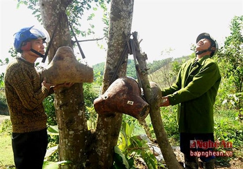 Nghề săn ong mật Thanh Chương ảnh 2 Nghề săn ong mật Thanh Chương ảnh 2