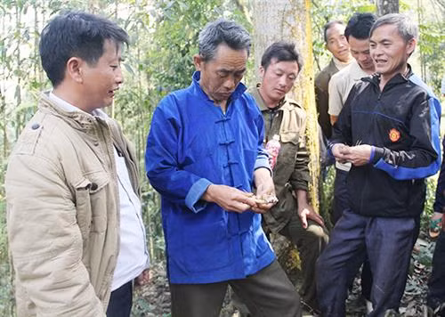 Sau khi xem xương gà (gồm lưỡi và xương ống chân đã được cắm tăm nhọn), người chủ lễ sẽ dự đoán năm đó có thuận lợi hay không và thông báo về thời gian cấm rừng. Trong thời gian cấm rừng, người dân không được đi làm nương, chặt cây, lấy củi... nếu ai vi phạm sẽ bị phạt theo hương ước.