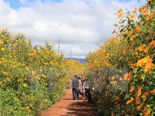 Ảnh minh hoa - TTXVN Ảnh minh hoa - TTXVN