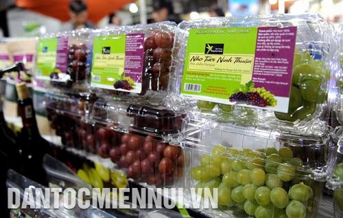 Ninh Thuận đã xây dựng thành công chỉ dẫn địa lý giúp bảo hộ nguồn gốc, xuất xứ sản phẩm nho của địa phương. Ảnh: Lâm Bưng