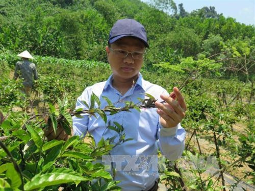 Dám nghĩ, dám làm anh Nguyễn Duy Thạnh đã gặt hái được những thành quả đáng kể trong quá trình khởi nghiệp