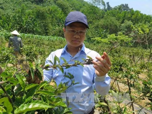 Dám nghĩ, dám làm anh Nguyễn Duy Thạnh đã gặt hái được những thành quả đáng kể trong quá trình khởi nghiệp
