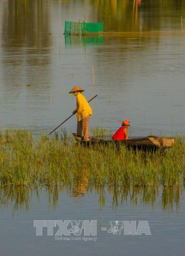 Cánh đồng mùa nước nổi tại xã Vị Thanh, huyện Vị Thủy. Ảnh: Duy Khương - TTXVN