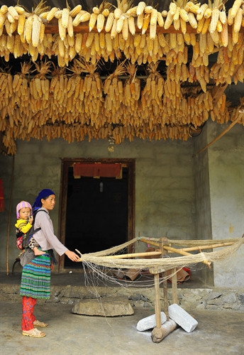 Trong đời sống của đồng bào dân tộc Mông vùng Cao nguyên đá, nghề trồng lanh, dệt thổ cẩm có vị trí rất quan trọng.