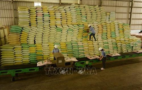 Lúa được tạm trữ tại Nhà máy chế biến lương thực ở huyện Tân Hồng (Đồng Tháp). Ảnh : Nguyễn Văn Trí - TTXVN Lúa được tạm trữ tại Nhà máy chế biến lương thực ở huyện Tân Hồng (Đồng Tháp). Ảnh : Nguyễn Văn Trí - TTXVN