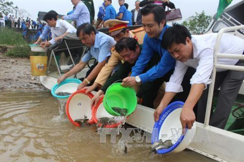 Hơn 1 tấn cá giống được thả xuống sống Mã. Ảnh: TTXVN Hơn 1 tấn cá giống được thả xuống sống Mã. Ảnh: TTXVN