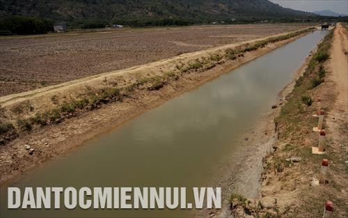 Kênh dẫn nước phục vụ canh tác lúa tại xã Đồng Kho (Tánh Linh, Bình Thuận)