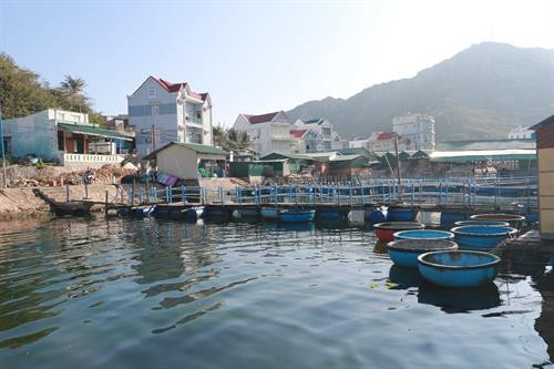 Khu vực nuôi tôm hùm ở đảo Bình Ba. Ảnh: Dương Chí Tưởng-TTXVN Khu vực nuôi tôm hùm ở đảo Bình Ba. Ảnh: Dương Chí Tưởng-TTXVN