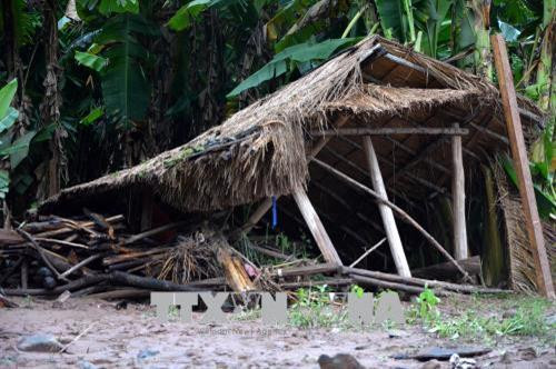 Nhiều vật nuôi, tàn sản bị lũ cuốn trôi, vùi lấp. Ảnh: Văn Dũng -TTXVN