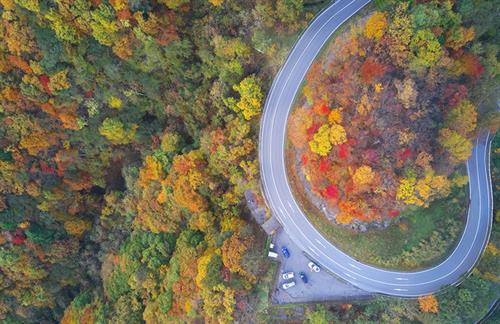 Tên gọi của địa danh này được tạo thành từ hai yếu tố. Trong đó, "i-ro-ha" là ba ký tự đầu tiên trong bảng chữ cái 48 ký tự của tiếng Nhật trước đây; "zaka" có nghĩa là "độ dốc". Ảnh: IkidaneNippon. Con đèo được đặt tên như vậy bởi nó có 48 khúc cua, cũng là số lượng chữ trong bảng chữ cái Nhật Bản. Mỗi khúc cua được đặt tên với một ký tự tương ứng. Ảnh: IkidaneNippon. Những đoạn đường đầu tiên được xây dựng vào năm 1954 và 1965. Đến nay, dù con đường đã được hiện đại hóa và nới rộng nhưng số lượng khúc cua vẫn giữ nguyên. Đây là tuyến đường duy nhất nối thành phố Nikko với vùng Oku-nikko. Ảnh: Japankuru. Đèo Irohazaka vào mùa thu nhìn từ vệ tinh. Ảnh: Google Maps. Hiện nay, con đường Irohazaka thứ nhất là lối đi xuống với 28 khúc cua có điểm dừng chân ngắm khung cảnh hai thác nước. Ảnh: Itchy Feet. Đường Irohazaka thứ hai có 20 khúc cua, chỉ dành cho các phương tiện đi lên cao nguyên Akechidaira. Ảnh:IkidaneNippon. Tuyến cáp treo đưa du khách từ bãi đỗ xe ở cao nguyên đến đài quan sát Akechidaira trong 3 phút với giá 750 yên (khoảng 150.000 đồng). Ảnh: IkidaneNippon. Từ đây, du khách có thể thấy núi Nantai, hồ Chuzenji và thác Kegon. Đây là nơi tốt nhất để nhìn ngắm vẻ đẹp lộng lẫy của thiên nhiên. Thời gian phổ biến nhất để đến Irohazaka là mùa thu, từ giữa tháng 10 đến đầu tháng 11 khi lá cây bắt đầu thay đổi màu sắc. Ảnh: AmusingPlanet. Một đoạn đèo Irohazaka nhìn từ trên cao. Ảnh: Pinterest. Thông thường, mất khoảng 20 đến 30 phút lái xe để đi hết con đèo Irohazaka. Nhưng vào dịp cuối tuần, lượng du khách đổ về đây tham quan rất đông khiến thời gian có thể lên tới 4 giờ. Ảnh: Ảnh: IkidaneNippon. Toàn cảnh vùng núi của tỉnh Tochigi. Ảnh: AmusingPlanet.