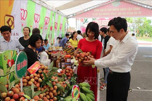 Các đại biểu tham quan các gian trưng bày tại ngày hội. Ảnh: Mạnh Minh- TTXVN Các đại biểu tham quan các gian trưng bày tại ngày hội. Ảnh: Mạnh Minh- TTXVN