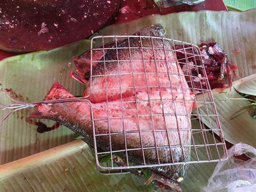 Pa pỉnh tộp được gập úp lại cho vào vỉ nướng trên bếp củi Pa pỉnh tộp được gập úp lại cho vào vỉ nướng trên bếp củi