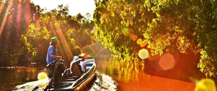 Nắng xuyên rừng tràm như một bức tranh thiên nhiên hớp hồn du khách Nắng xuyên rừng tràm như một bức tranh thiên nhiên hớp hồn du khách