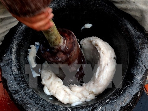 Mực được lau thật kỹ bằng khăn sạch rồi bỏ từng miếng vào cối và giã hơi rối bằng tay, vừa đủ để bắt dính. Đây là điều kiện để có miếng chả mực giòn hơn.