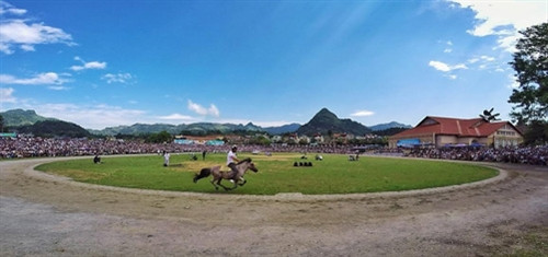 Đua ngựa thồ trên cao nguyên trắng ảnh 1