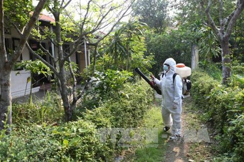 Khoanh vùng nơi người Hàn Quốc nhiễm virus Zika ở Việt Nam ảnh 1