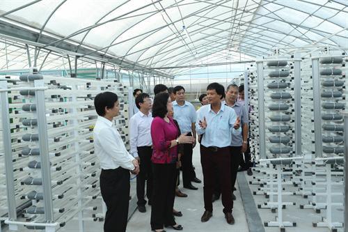 Phó Bí thư Thường trực Thành ủy Hà Nội Ngô Thị Thanh Hằng cùng đoàn kiểm tra thăm Khu sinh thái nông nghiệp công nghệ cao Thung lũng Ngọc Linh Hòa Lạc, có quy mô 5 ha do Tập đoàn Lạc Hòa đầu tư xây dựng. Ảnh: Hoàng Hà Phó Bí thư Thường trực Thành ủy Hà Nội Ngô Thị Thanh Hằng cùng đoàn kiểm tra thăm Khu sinh thái nông nghiệp công nghệ cao Thung lũng Ngọc Linh Hòa Lạc, có quy mô 5 ha do Tập đoàn Lạc Hòa đầu tư xây dựng. Ảnh: Hoàng Hà Phó Bí thư Thường trực Thành ủy Hà Nội Ngô Thị Thanh Hằng trò chuyện với người lao động tại Trang trại Hoa Viên. Ảnh: Hoàng Hà