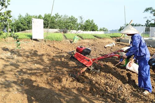 Trang trại Hoa Viên hiện tạo việc làm cho khoảng 100 lao động với thu nhập bình quân trên 5 triệu đồng/tháng. Ảnh: Hoàng Hà Để mang đến người tiêu dùng những nông sản hữu cơ, tất cả các công đoạn sản xuất từ làm cỏ, bắt sâu, chăm bón trang trại đều phải hoàn toàn tự nhiên. Ảnh: Hoàng Hà