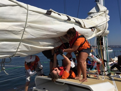 Trải nghiệm đi thuyền buồm Clipper trên vịnh Sydney ảnh 2