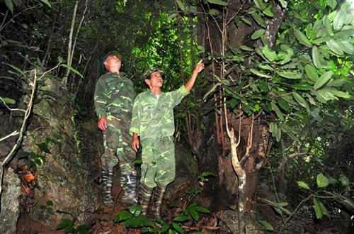 Ông Lê Hồng Binh (người phía trước), dân tộc Tày, nhân viên tuần rừng ở Chốt Lũng Vai, Trạm kiểm lâm Bắc Vãng, Hạt kiểm lâm rừng đặc dụng Na Hang. Ảnh: Văn Tý-TTXVN Ông Lê Hồng Binh (người phía trước), dân tộc Tày, nhân viên tuần rừng ở Chốt Lũng Vai, Trạm kiểm lâm Bắc Vãng, Hạt kiểm lâm rừng đặc dụng Na Hang. Ảnh: Văn Tý-TTXVN