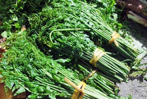 Rau dớn xào ăn giòn ngon