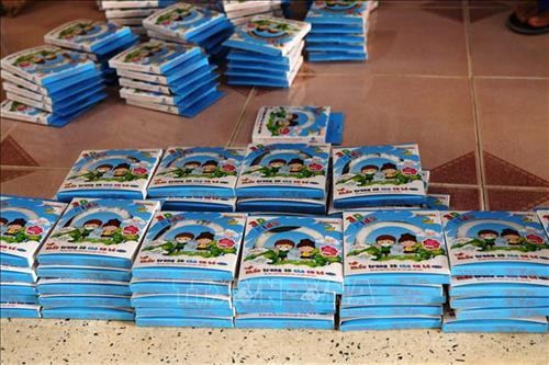 Gần 400.000 khẩu trang y tế các loại bị Công an huyện Châu Thành thu giữ. Ảnh: Thanh Tân -TTXVN