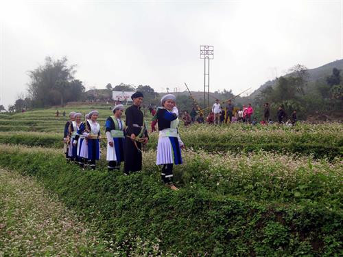 Đông bào Mông bên cánh đồng hoa tam giác mạch Bản Tèn. Ảnh: Quân Trang-TTXVN Đông bào Mông bên cánh đồng hoa tam giác mạch Bản Tèn. Ảnh: Quân Trang-TTXVN
