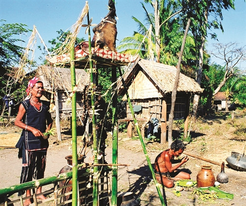 Già làng thực hiện nghi lễ cúng thần linh Già làng thực hiện nghi lễ cúng thần linh