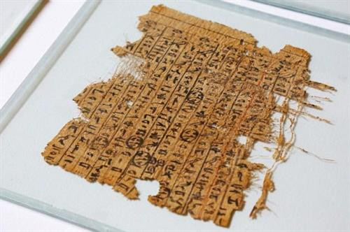 Văn tự cổ trên cuộn giấy papyrus có nội dung về vận chuyển nguyên liệu xây kim tự tháp qua hệ thống đường thủy.