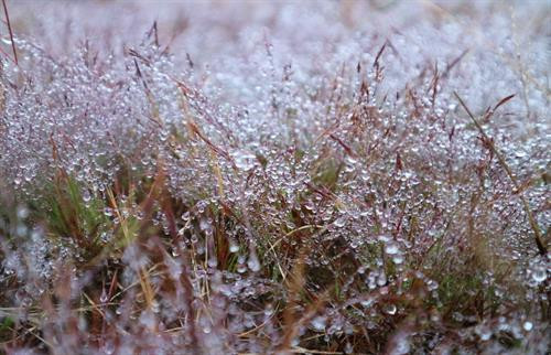 Ảnh minh họa - TTXVN