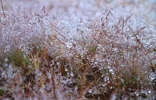 Ảnh minh họa - TTXVN