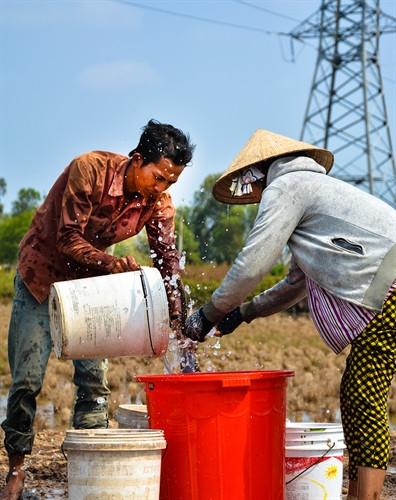 Khai thác nguồn nước ngầm là giải pháp duy nhất giúp người dân Cà Mau vượt qua cơn hạn kéo dài. Khai thác nguồn nước ngầm là giải pháp duy nhất giúp người dân Cà Mau vượt qua cơn hạn kéo dài.