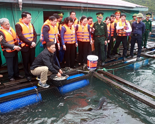 Phó Chủ tịch nước Đặng Thị Ngọc Thịnh thăm cơ sở nuôi cá lồng bè của ngư dân Bùi Văn Luyện. Ảnh: Lâm Khánh – TTXVN