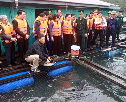 Phó Chủ tịch nước Đặng Thị Ngọc Thịnh thăm cơ sở nuôi cá lồng bè của ngư dân Bùi Văn Luyện. Ảnh: Lâm Khánh – TTXVN