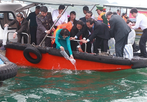 Phó Chủ tịch nước Đặng Thị Ngọc Thịnh và các đại biểu thả cá, con giống bảo vệ nguồn lợi thủy sản tại Lễ hội ra khơi, bám biển năm 2017. Ảnh: Lâm Khánh- TTXVN
