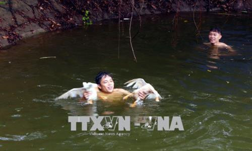 Trò chơi "đuổi bắt vịt" dưới nước thu hút nhiều bạn trẻ tranh tài. Ảnh: Đại Nghĩa- TTXVN