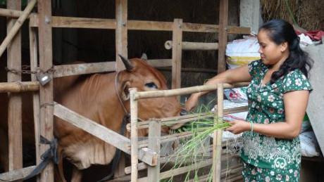 Gia đình chị Thạch Chanh Sa Mi, xã Đa Lộc, huyện Châu Thành, tỉnh Trà Vinh được vay 20 triệu đồng để trồng trọt và chăn nuôi. Gia đình chị Thạch Chanh Sa Mi, xã Đa Lộc, huyện Châu Thành, tỉnh Trà Vinh được vay 20 triệu đồng để trồng trọt và chăn nuôi.