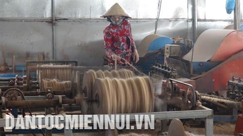Tỉnh Trà Vinh chủ trương đa dạng hóa các sản phẩm từ trái dừa, xơ dừa,… để nâng cấp chuỗi giá trị dừa, giúp nông dân và doanh nghiệp nâng cao hiệu quả sản xuất. Ảnh: Thanh Hòa - DTMN