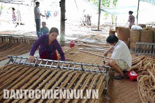Tỉnh Trà Vinh sẽ tranh thủ các nguồn lực, tập trung hỗ trợ doanh nghiệp đa dạng hóa sản phẩm từ dừa. Ảnh: Thanh Hòa - DTMN