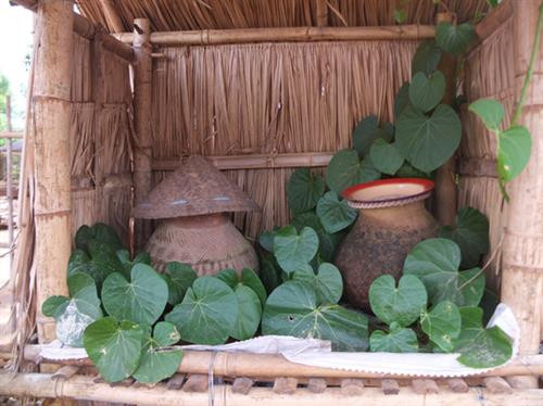 Một bình nước với dây leo duyên dáng ở Inle