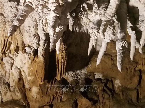 Vẻ đẹp kỳ thú của những nhũ đá trên vách trong hang động Huổi Cang. Ảnh: Xuân Tiến – TTXVN