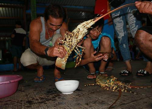 Sản vật biển tươi ngon hút du khách đến đảo Bình Ba (Khánh Hòa) ảnh 6 Sản vật biển tươi ngon hút du khách đến đảo Bình Ba (Khánh Hòa) ảnh 6