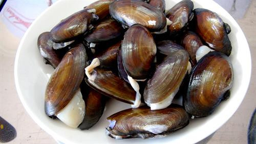 Cảnh báo những người tuyệt đối không nên ăn trai, hến ảnh 1