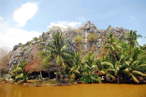 Phong cảnh núi Sơn Trà.