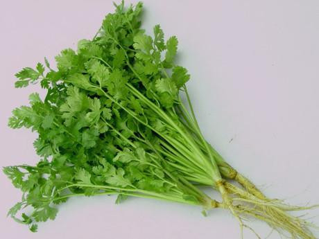 Những công dụng tuyệt vời của rau mùi thơm ảnh 6 Những công dụng tuyệt vời của rau mùi thơm ảnh 6